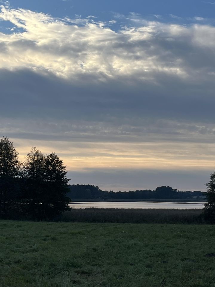 Działka rolno-budowlana Dybowo. Zdjęcie 19