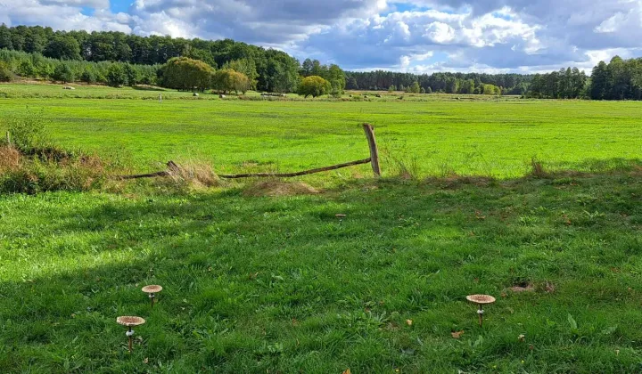 Działka budowlana Lutol Mokry