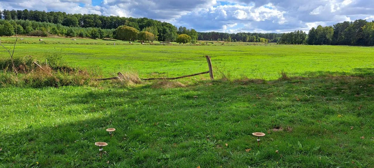 Działka budowlana Lutol Mokry