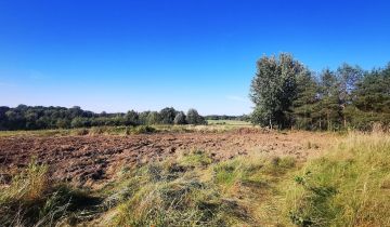 Działka budowlana Bukowina Sycowska, Bukowina Sycowska