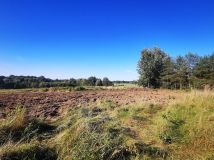 Działka budowlana Bukowina Sycowska, Bukowina Sycowska