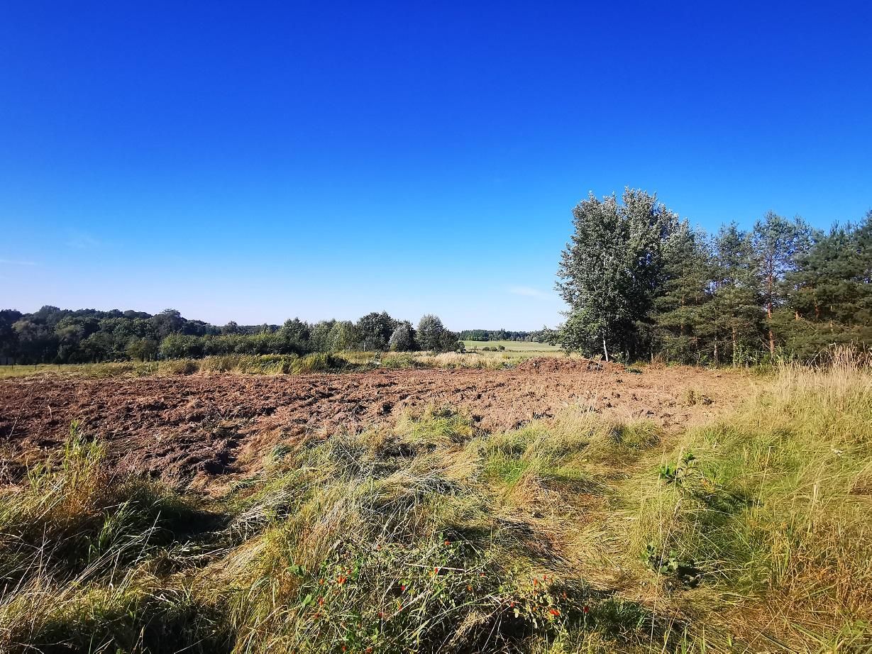 Działka budowlana Bukowina Sycowska, Bukowina Sycowska