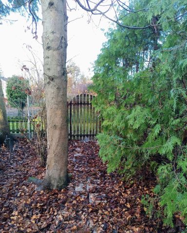 Działka rod Białystok Bagnówka, ul. Krzysztofa Pendereckiego. Zdjęcie 3