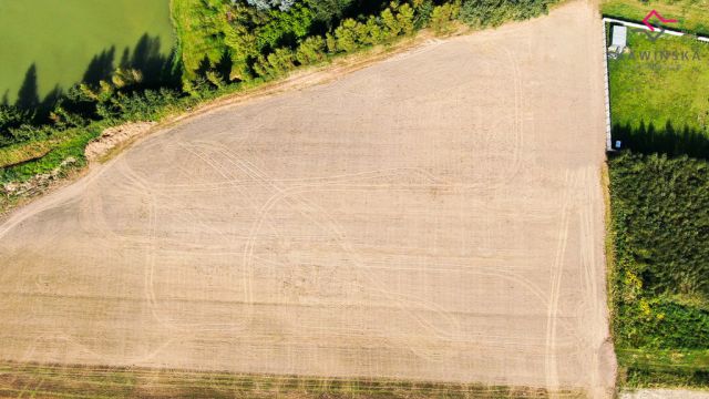 Działka budowlana Wysocko Wielkie, ul. Jesionowa. Zdjęcie 4