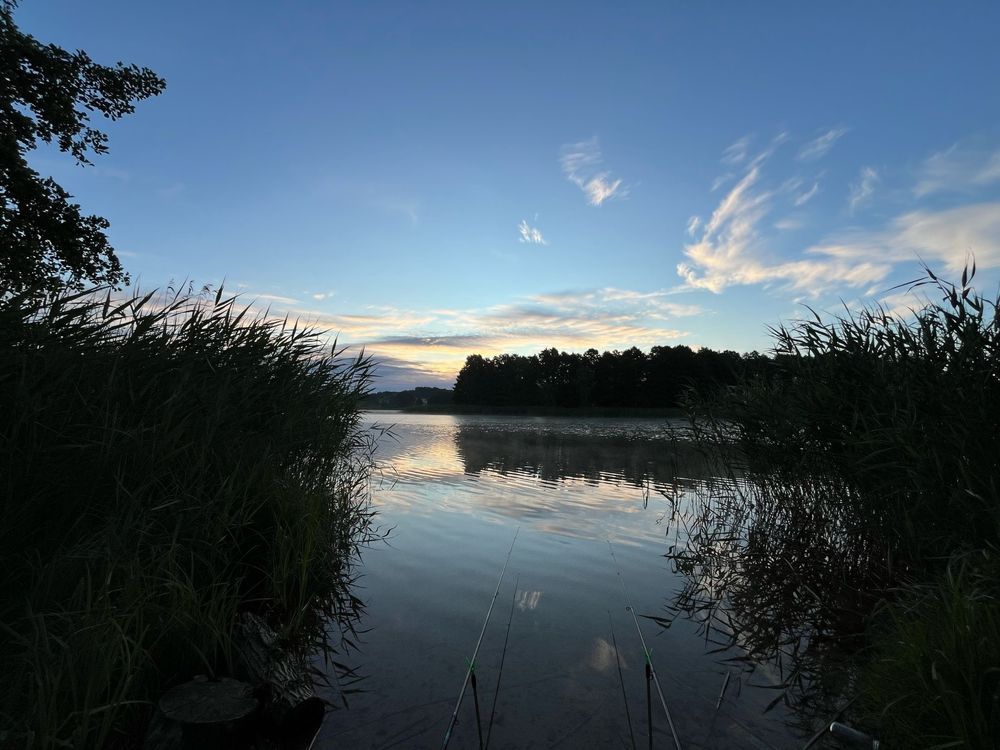 Działka budowlana Jankowo. Zdjęcie 5