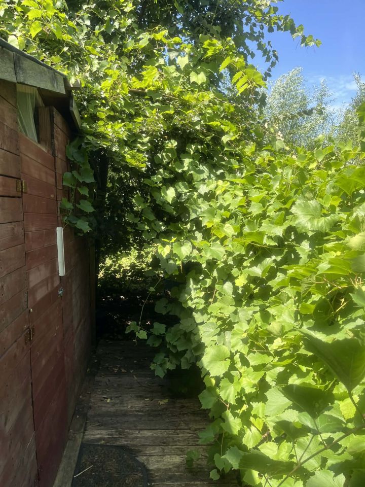 Działka rekreacyjna Jaroszowice Zbywaczówka. Zdjęcie 4