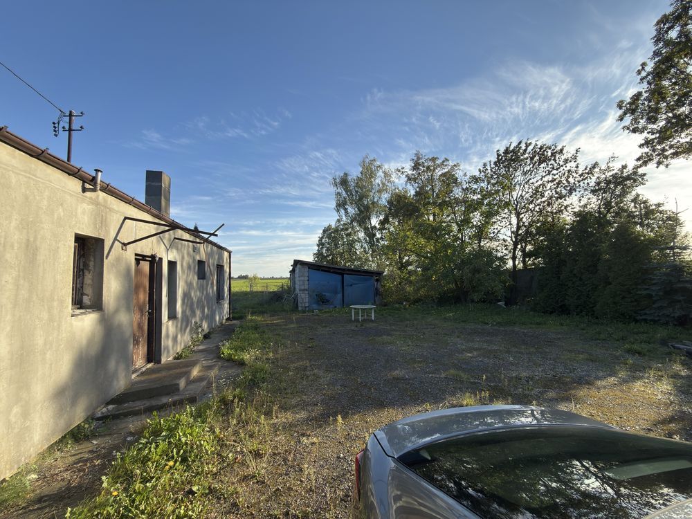 Działka inwestycyjna Czerwonka. Zdjęcie 4