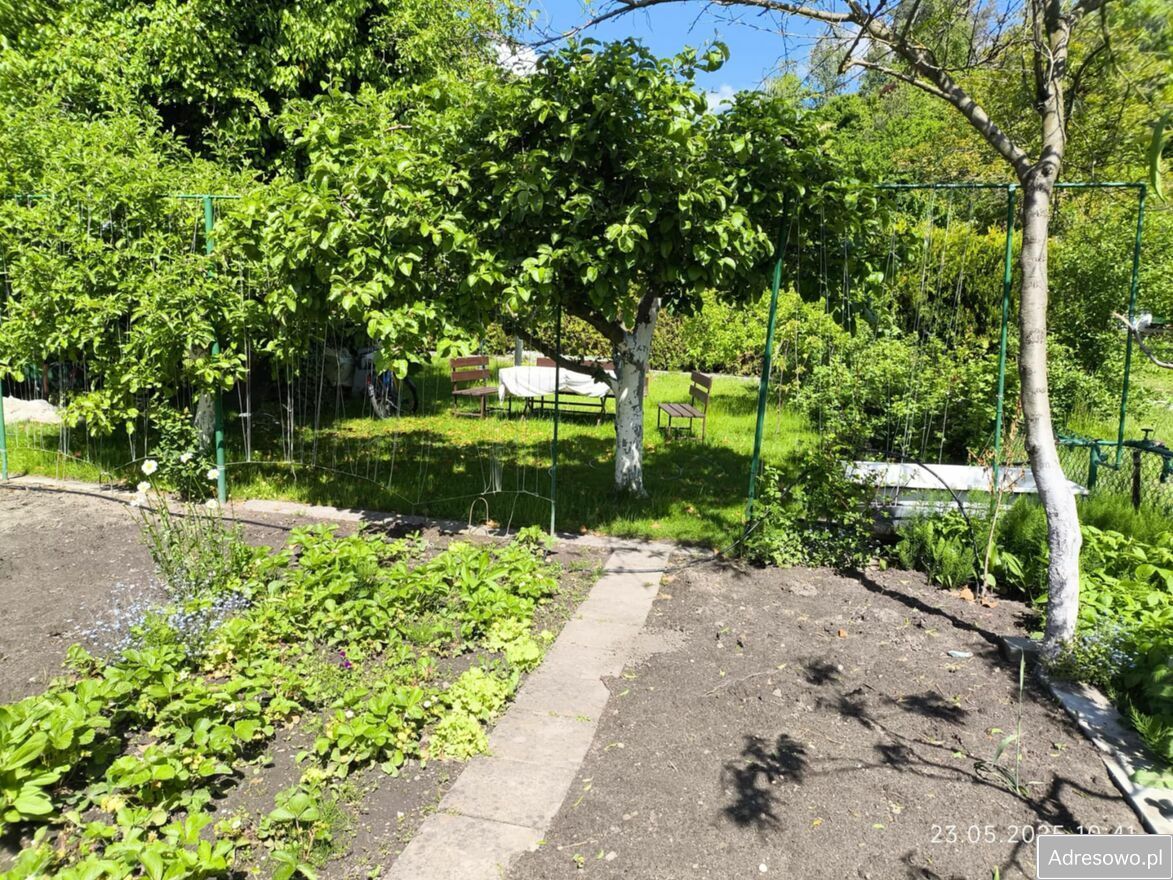 Działka rod Konin, ul. Staromorzysławska. Zdjęcie 7