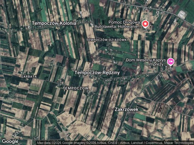 Działka rolna Tempoczów-Rędziny. Zdjęcie 1