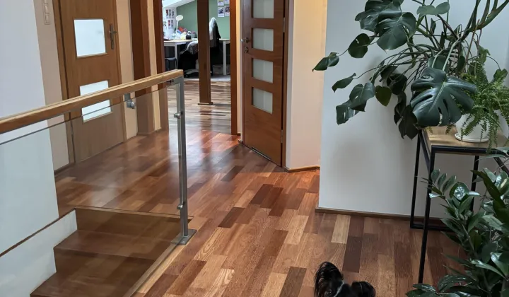 Mieszkanie 5-pokojowe Warszawa Bielany, Zgrupowania AK „Żubr”