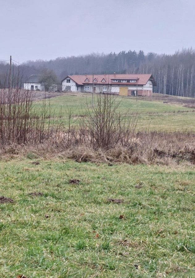 Działka siedliskowa Radostowo. Zdjęcie 5