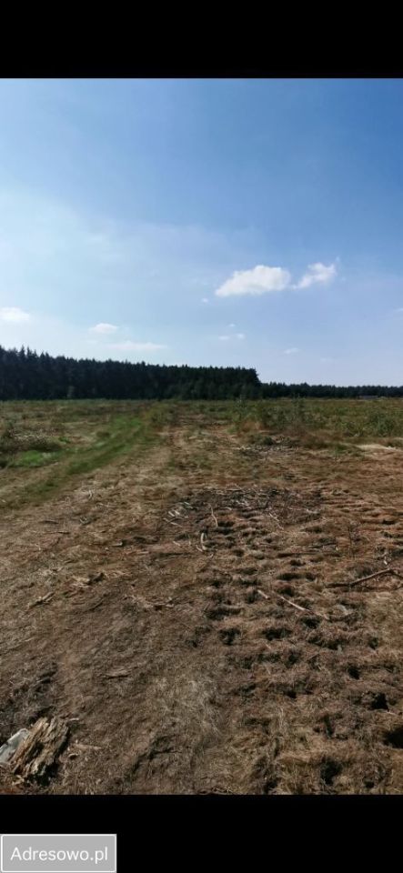 Działka inwestycyjna Miłogostowice. Zdjęcie 4