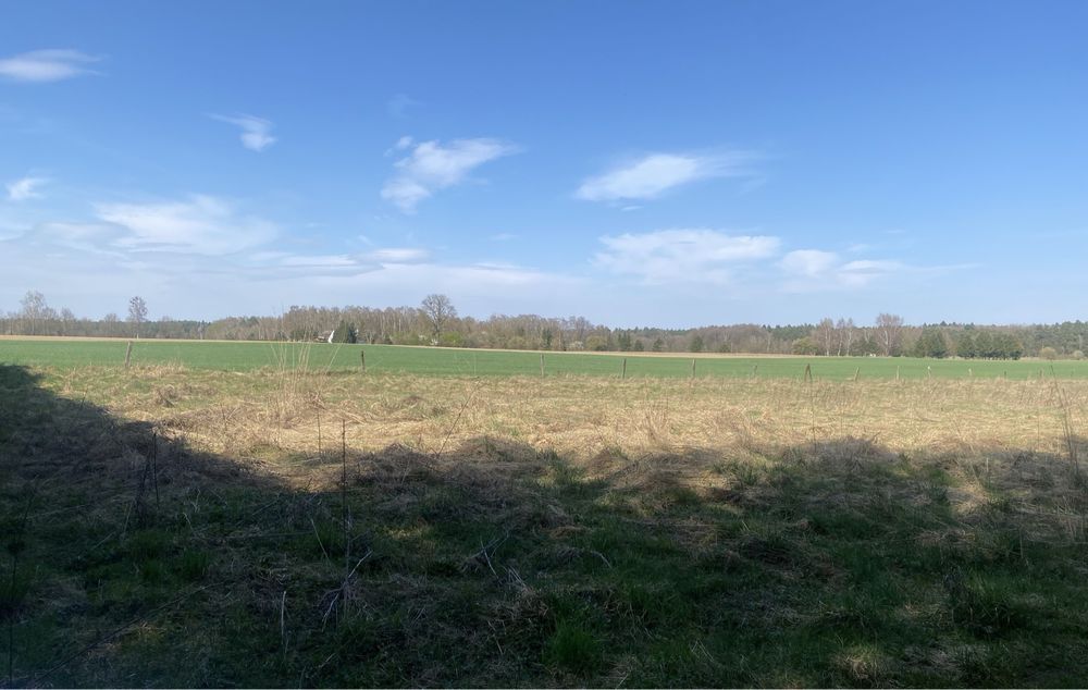 Działka rolna Przybiernów