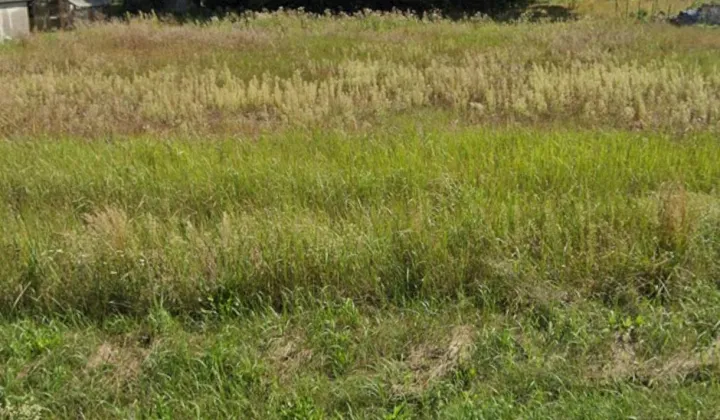 Działka budowlana Karpiny