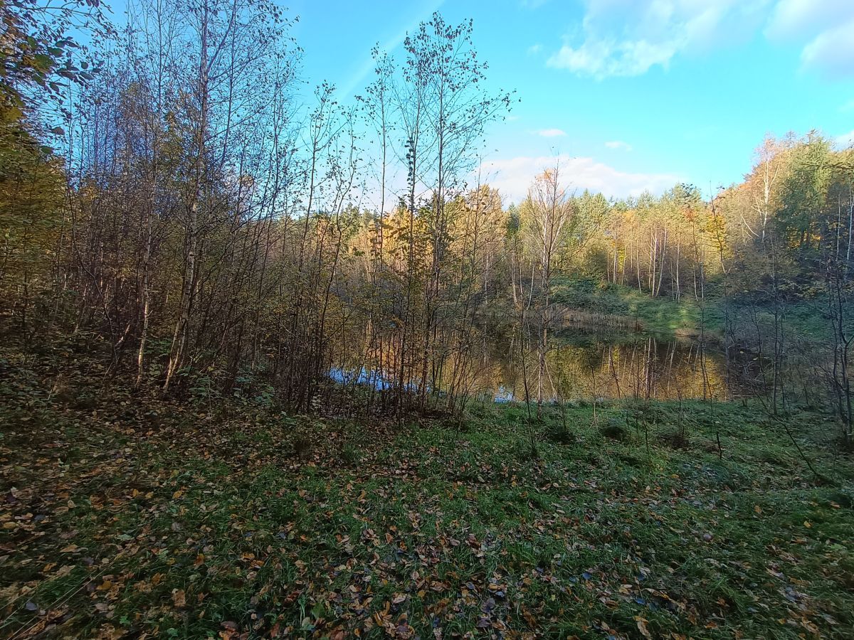 Działka budowlana Gromadzin, ul. Źródlana. Zdjęcie 9