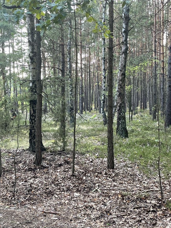 Działka budowlana Otwock Soplicowo, ul. Bernardyńska. Zdjęcie 4