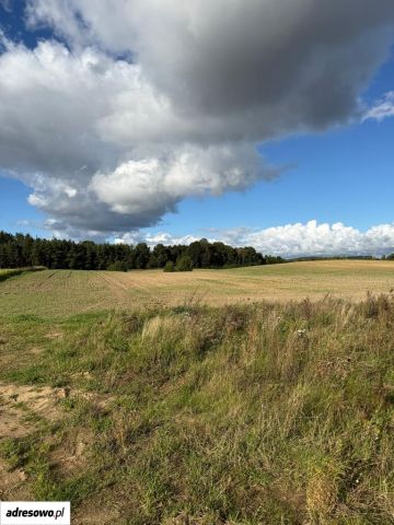 Działka siedliskowa Trąbki Małe. Zdjęcie 1
