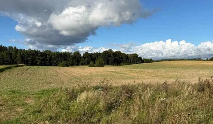 Działka siedliskowa Trąbki Małe