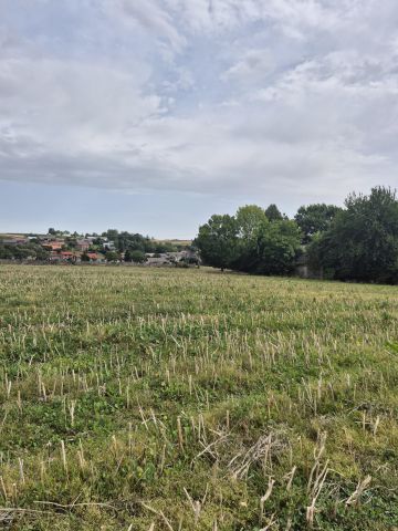 dom wolnostojący, 3 pokoje Blinów Drugi. Zdjęcie 1