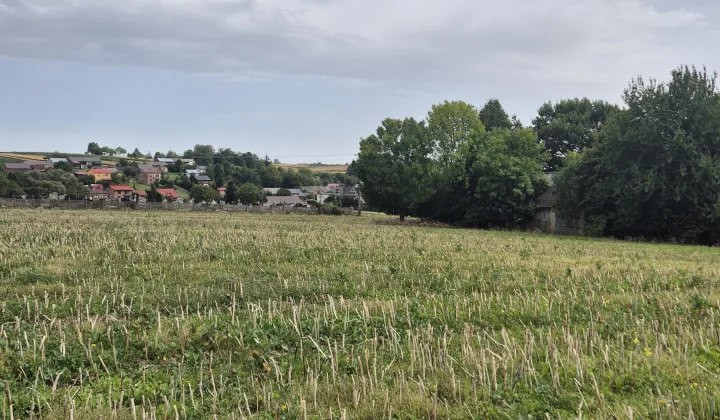 dom wolnostojący, 3 pokoje Blinów Drugi