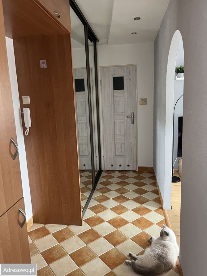 Mieszkanie 2-pokojowe Piotrków Trybunalski. Zdjęcie 13