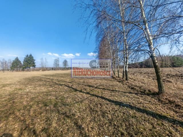 Działka budowlana Chlewiska. Zdjęcie 7