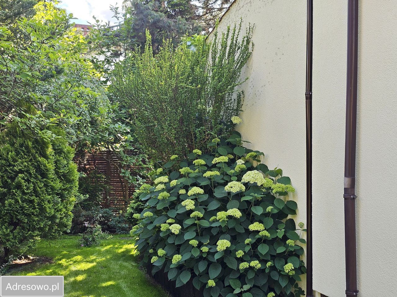 dom, 6 pokoi Częstochowa Wrzosowiak, ul. Marusarza. Zdjęcie 4