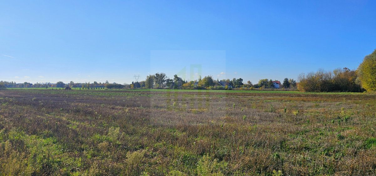 Działka budowlana Bieniewice, ul. Słowicza. Zdjęcie 5