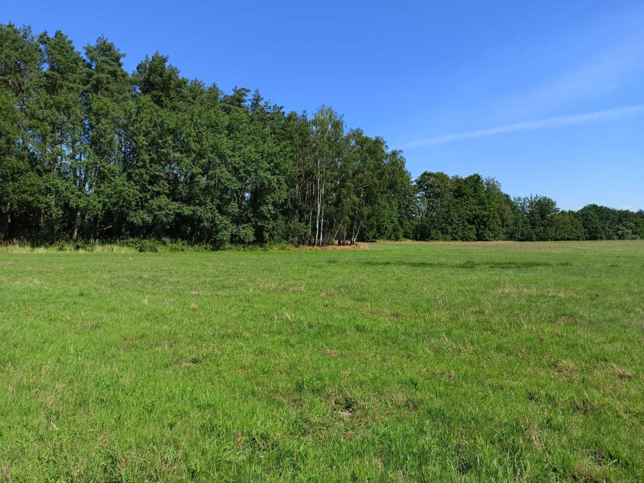 Działka budowlana Mechowo. Zdjęcie 6