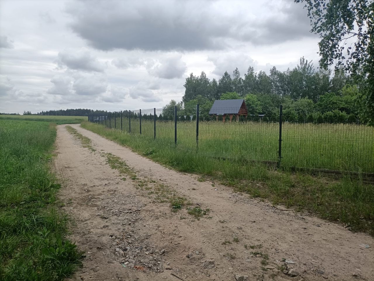 Działka rolno-budowlana Damianów. Zdjęcie 5