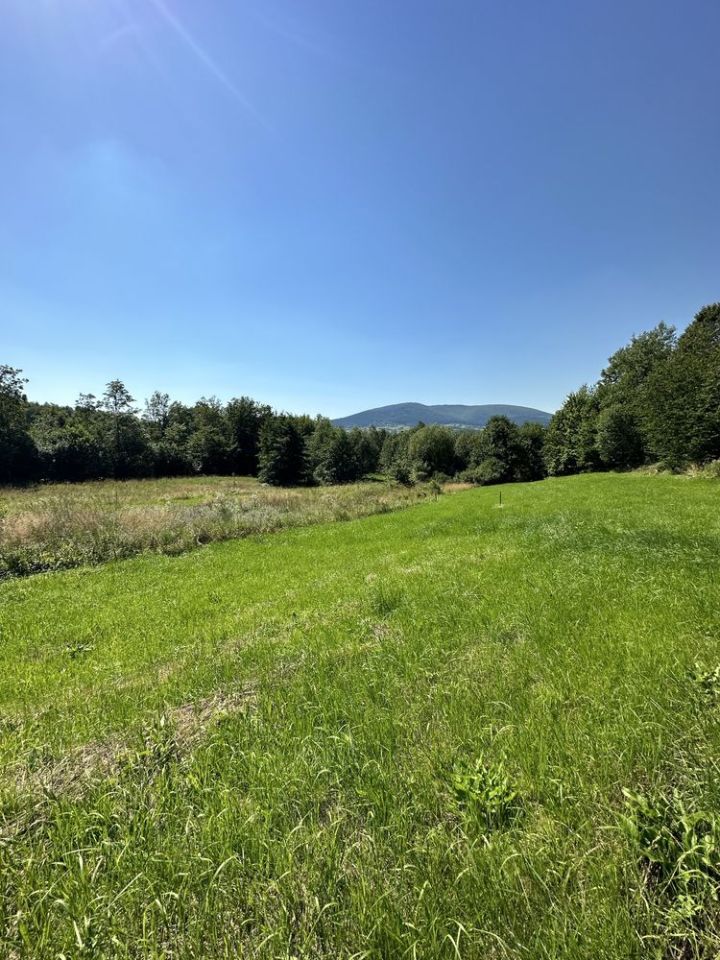 Działka budowlana Wierzbanowa. Zdjęcie 1