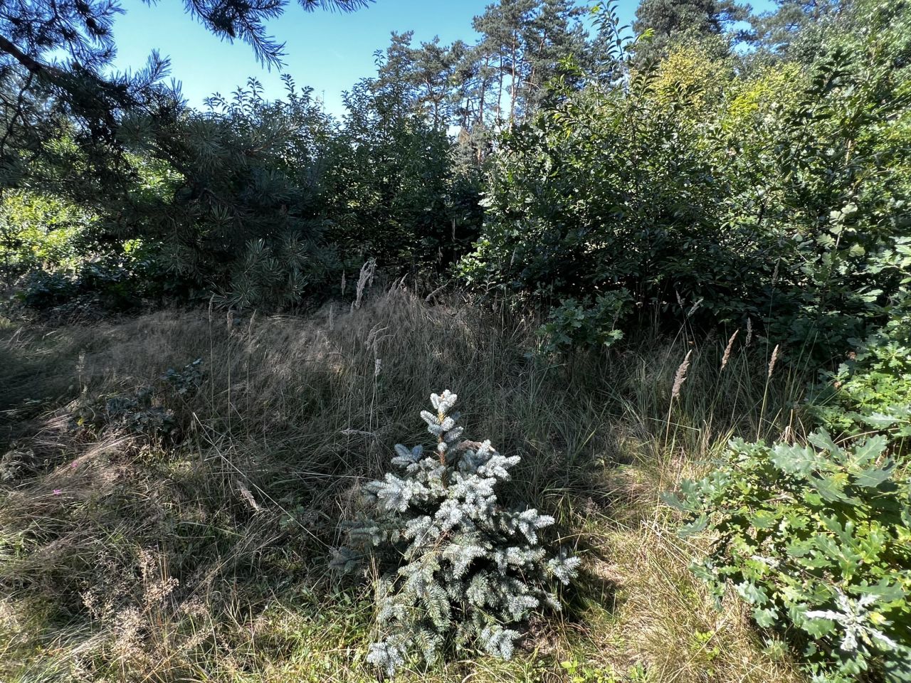 Działka budowlana Leboszowice, ul. Smolnicka. Zdjęcie 10