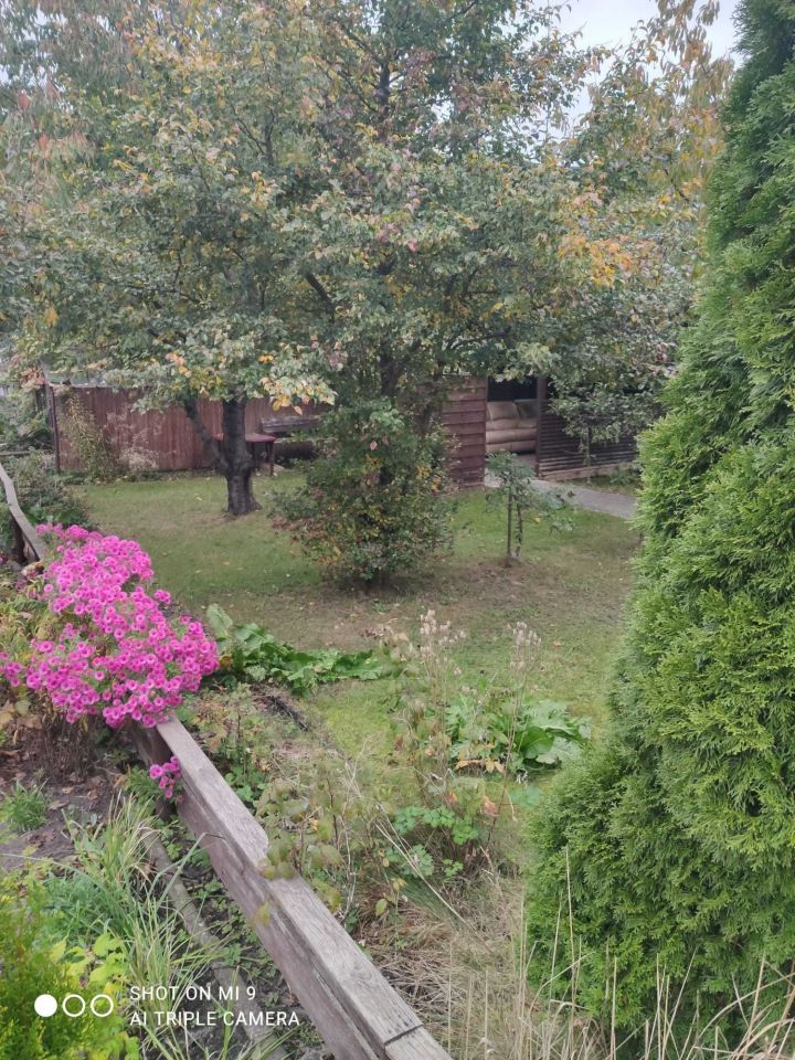 Działka rod Gdańsk Zaspa, ul. Franciszka Hynka. Zdjęcie 6
