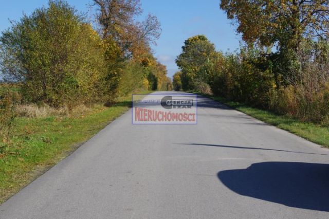 Działka budowlana Siennica. Zdjęcie 5