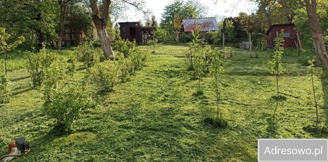 Działka rekreacyjna Przemyśl Zasanie. Zdjęcie 1