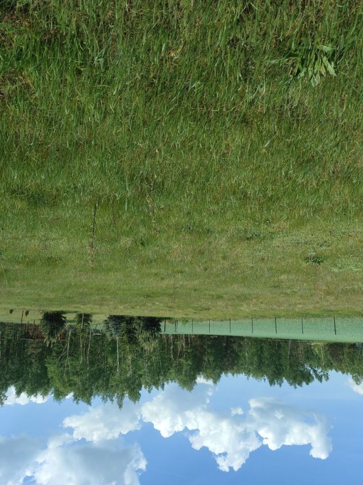 Działka rekreacyjna Lubieniec Wieś Lubieniecka. Zdjęcie 1