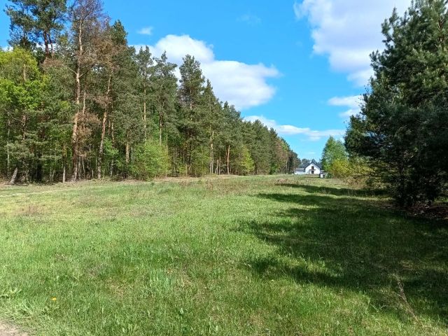 Działka budowlana Stary Janków. Zdjęcie 1