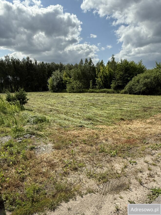 Działka budowlana Dachowa. Zdjęcie 5