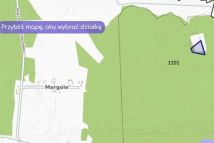 Działka leśna Margole. Zdjęcie 1