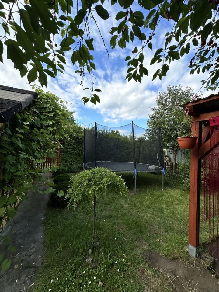 Działka rod Oleśnica Lucień. Zdjęcie 4