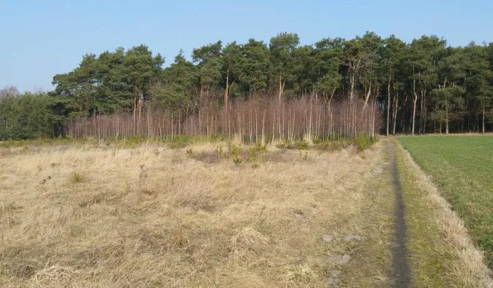 Działka budowlana Powiercie