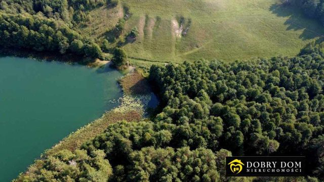 Działka Sidorówka. Zdjęcie 5