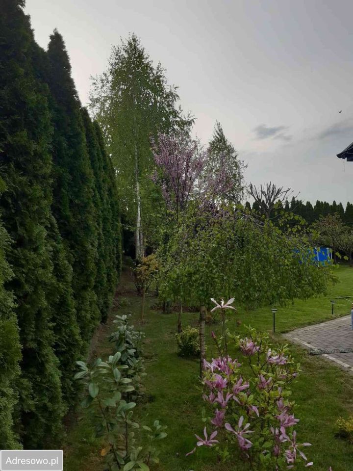 bliźniak, 5 pokoi Trablice. Zdjęcie 3