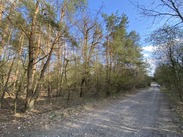 Działka budowlana Chotomów, ul. Kasztanowa. Zdjęcie 1