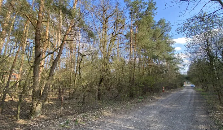 Działka budowlana Chotomów, ul. Kasztanowa