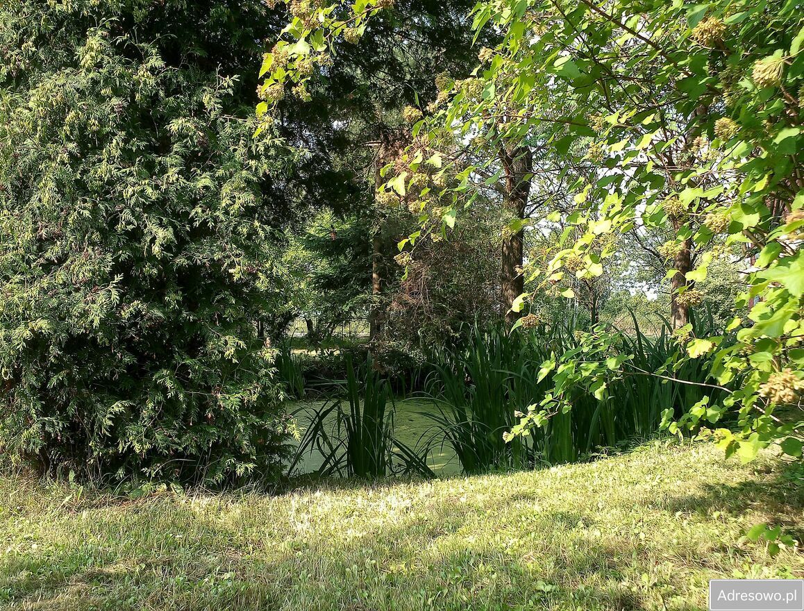 Działka siedliskowa Wolica. Zdjęcie 4