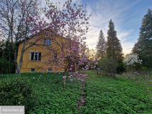 dom wolnostojący, 4 pokoje Groszowice Wrzosów. Zdjęcie 1