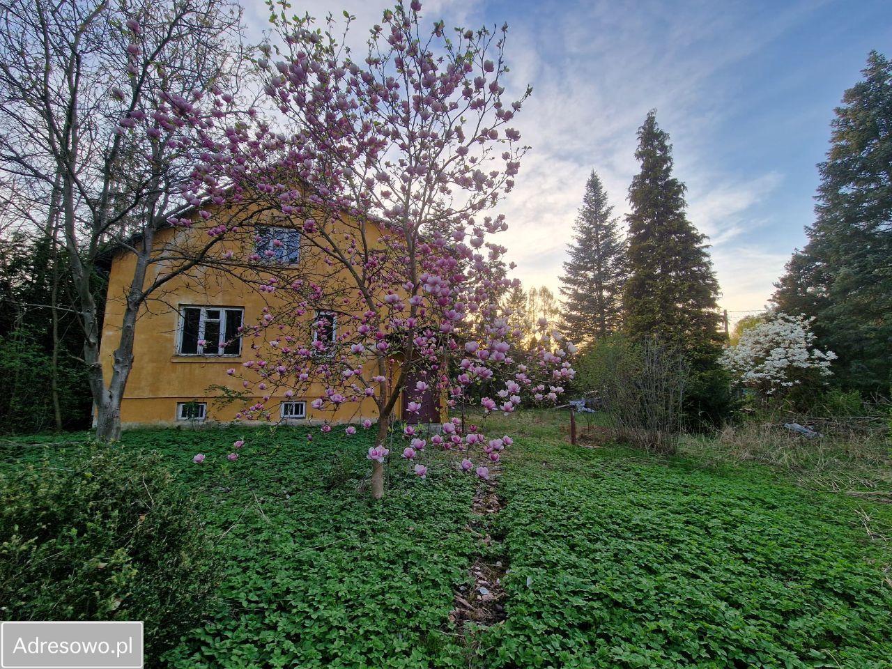 dom wolnostojący, 4 pokoje Groszowice Wrzosów. Zdjęcie 2