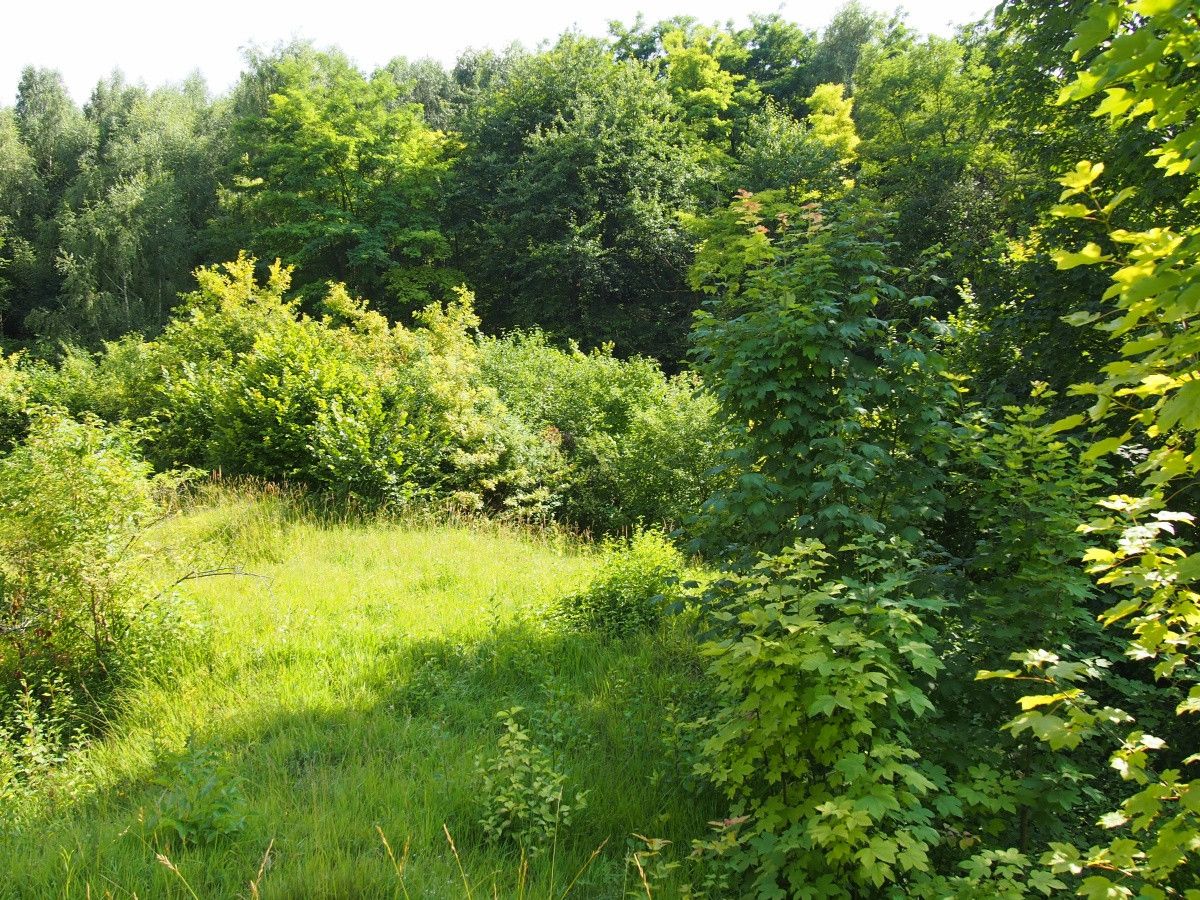 Działka rekreacyjna Śladów. Zdjęcie 16