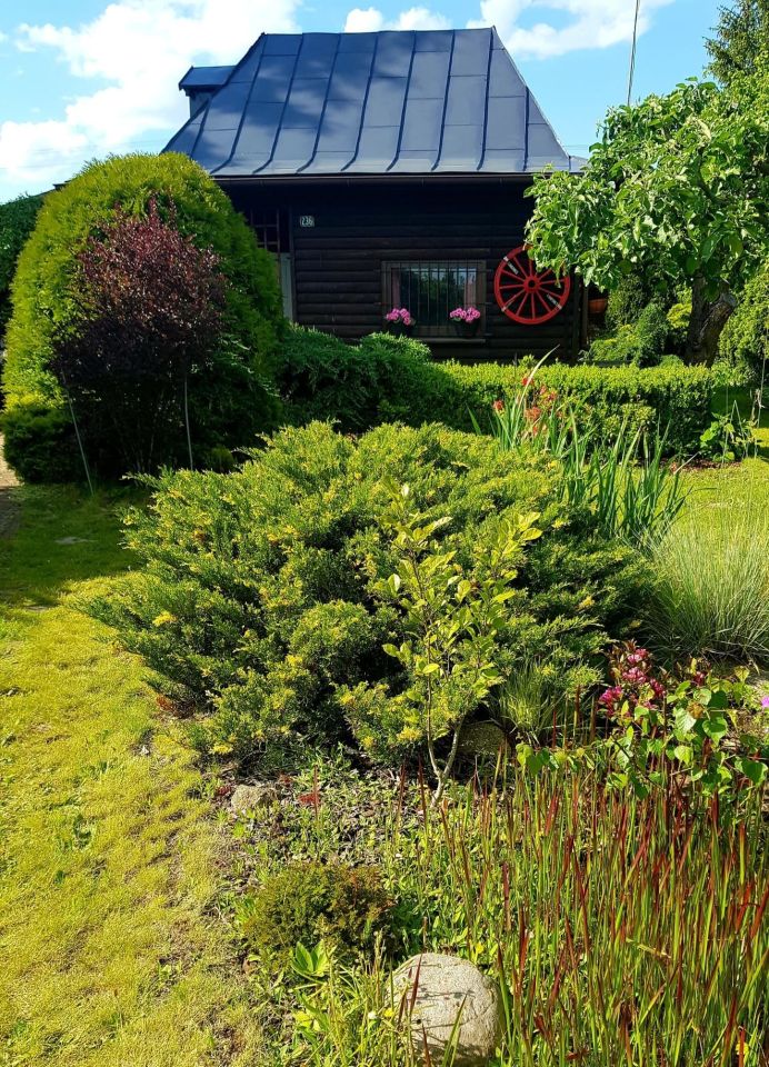 Działka rod Skierniewice, ul. Działkowa. Zdjęcie 2